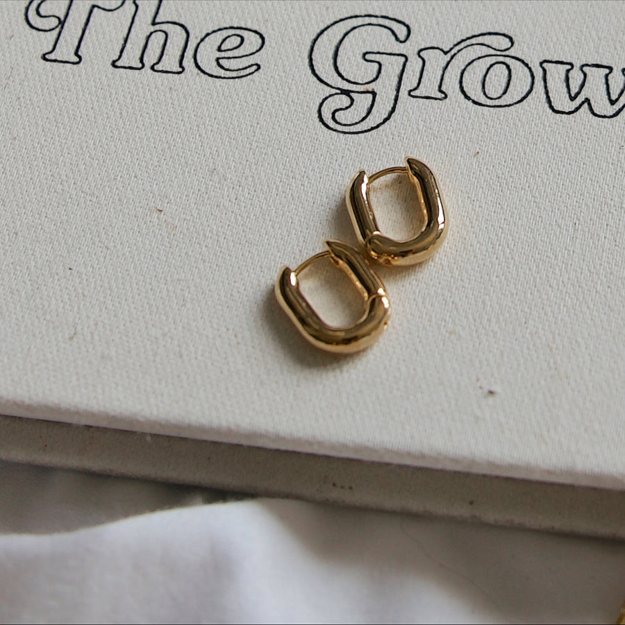 BOLD OVAL HOOPS